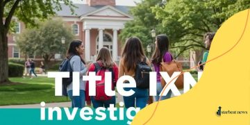 Title IX investigations in universities: what you need to know